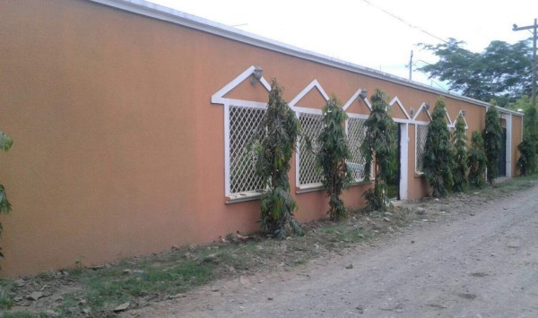 Juez nacional conocerá caso de regidor de El Triunfo, Choluteca
