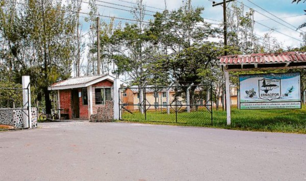 Esnacifor ya tiene categoría de universidad