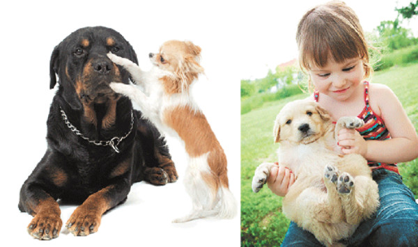 Evita las 5 fallas comunes