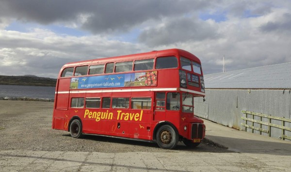 Islas Falkland: en el fin del mundo queda un bello paraíso