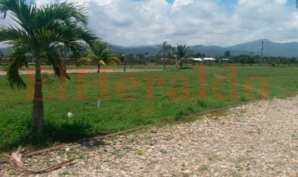 FOTOS: Bienes relacionados con la organización de Matta serán asegurados