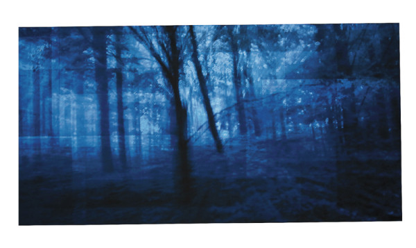 El bosque, protagonista en 'Escapes y refugios”