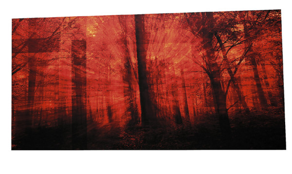 El bosque, protagonista en 'Escapes y refugios”