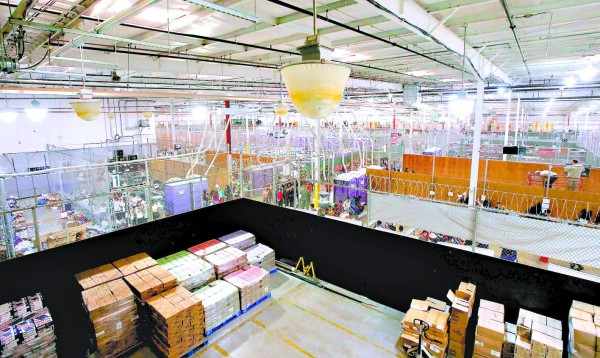 Protección internacional buscan niños migrantes