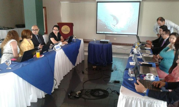 Honduras y Guatemala concluyen negociación para establecer Unión Aduanera&nbsp;&nbsp;