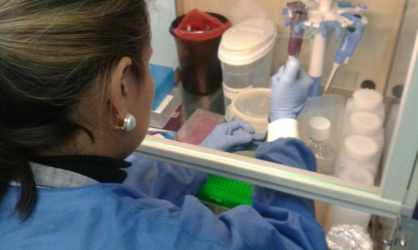 Secretaría de Salud reporta más de cuatro mil casos de zika solo en enero