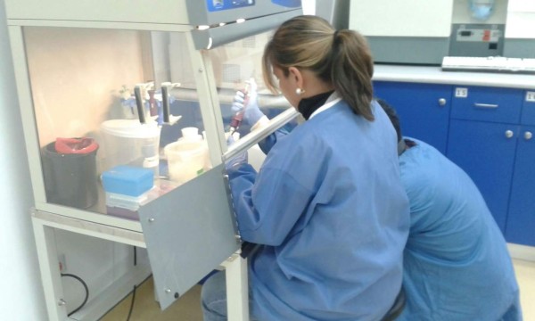 Secretaría de Salud reporta más de cuatro mil casos de zika solo en enero