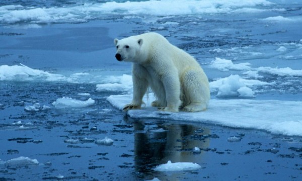 Inusual clima en el Ártico con 20 grados menos de lo habitual&nbsp; &nbsp;&nbsp;
