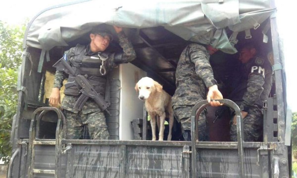 Miles de evacuados por lluvias que azotan a Honduras