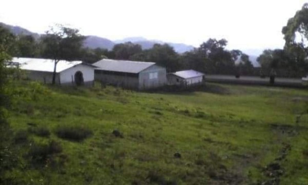 ¡Tragedia! Familia murió intoxicada con monóxido de carbono en Opatoro, La Paz