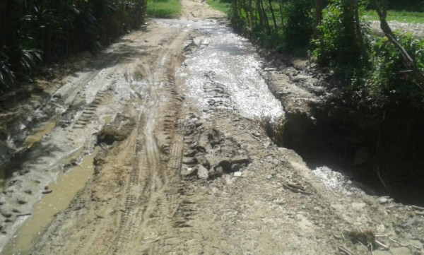 Honduras: Lluvias afectan viviendas, puentes y carreteras en zona oriental del país