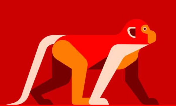 Amor y trabajo: Estas son las predicciones del horóscopo chino para 2022