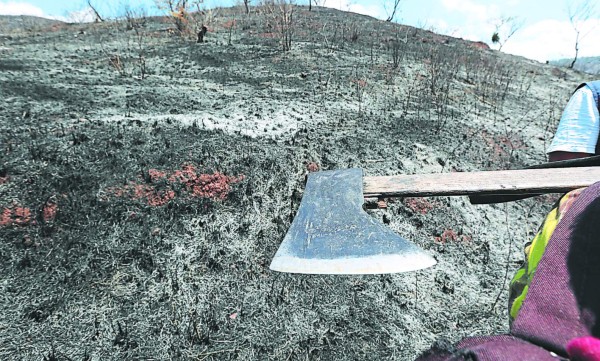 ¡Gracias por proteger a la madre naturaleza!