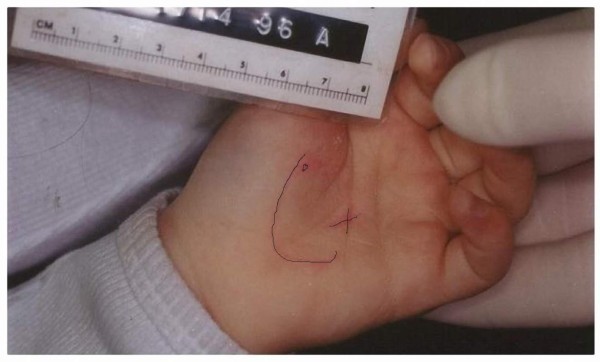 ¿Quién es ella y por qué la vinculan con Katy Perry?&nbsp;&nbsp;