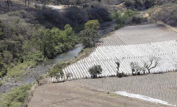 SANAA debe reducir pérdidas y mejorar servicio