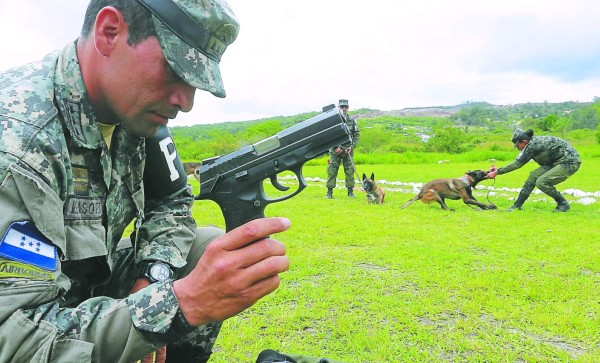 Perros en cárceles de Honduras para detectar celulares