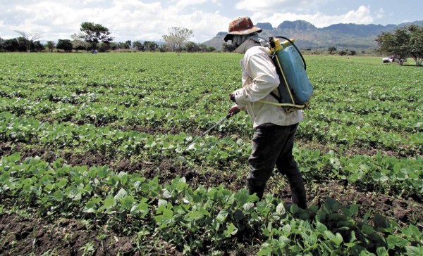 Centroamérica reportará crecimiento de 3.5%