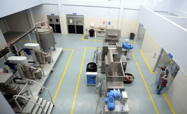 Xol, un chocolate con sabor ancestral