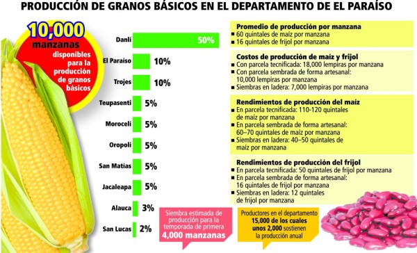 Por sequía, campesinos desisten de producir granos básicos