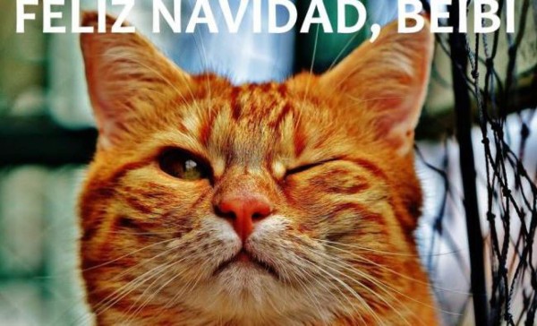 Los mejores y divertidos memes para compartir en la fiesta de Navidad
