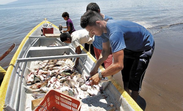 Nos tiraron la piraña tres veces, la tercera partió la lancha