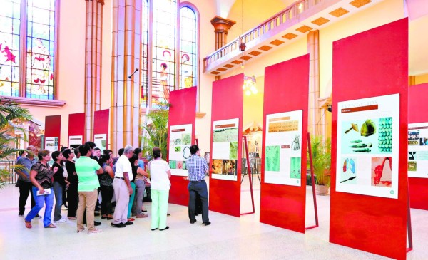 Capitalinos se dejan cobijar por la Sábana Santa