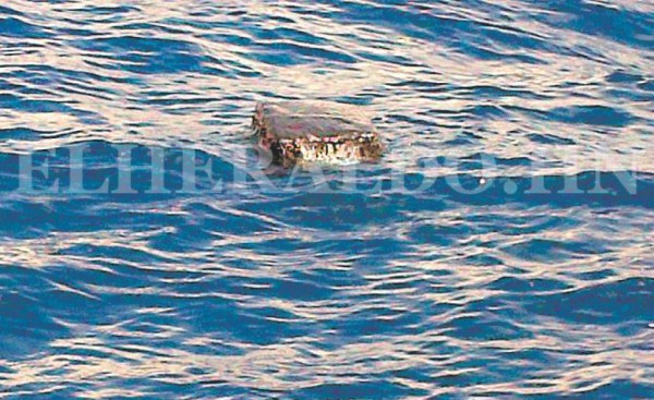 Un fardo de supuesta droga flotando en el mar refleja que el narcotráfico está muy activo (Foto: EL HERALDO)