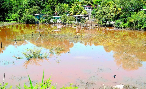 Preocupan niveles de ríos ante pronósticos de más lluvias en Honduras