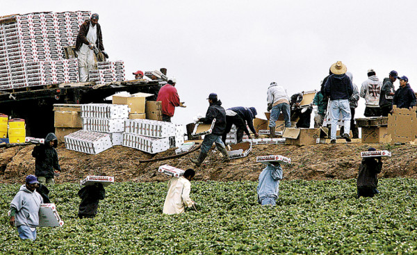 Inmigrantes hondureños tienen derechos laborales
