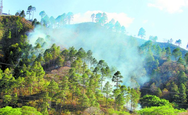 Instalarán observatorios forestales contra incendios