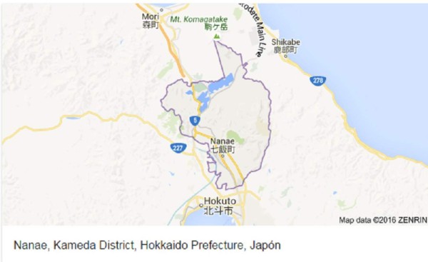 Niño se pierde en bosque de Japón luego de un insólito castigo de sus padres