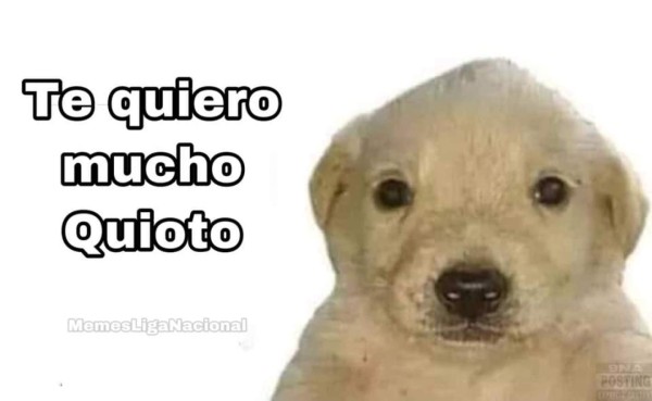 Romell Quioto y el VAR protagonizan los memes que dejó el triunfo de Honduras sobre Panamá