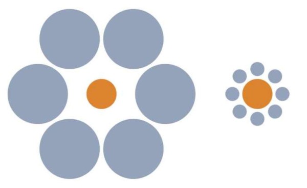 Las ilusiones ópticas que hicieron 'alucinar' a todos en Internet