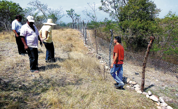 Extraño depredador ataca otro rebaño