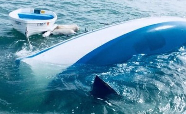 Venden todo para navegar por todo el mundo, pero naufragaron al segundo día