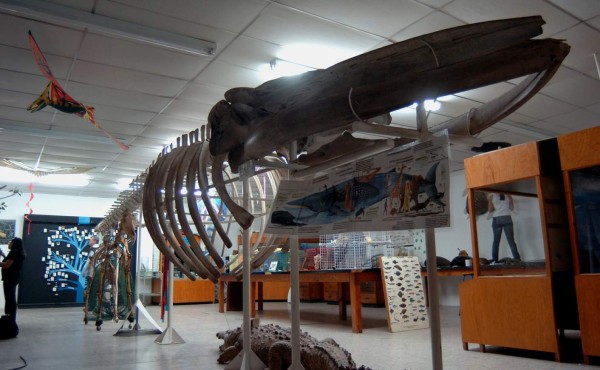 Recorrido por los principales museos de Tegucigalpa