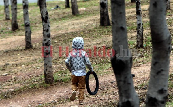 Venden leña, cuidan a sus hermanos o ayudan en casa: los niños que dejaron las escuelas por el covid