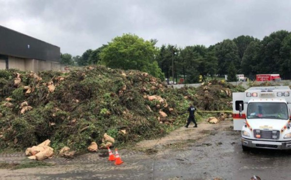 Hondureñas en el extranjero: la trágica muerte de estas mujeres