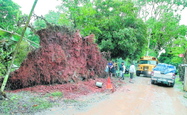 Honduras: Muerte y destrucción por aguaceros que azotan la costa norte