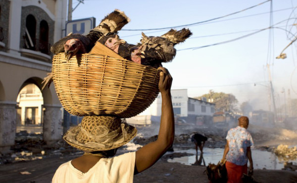 Haitianos miran hacia el campo