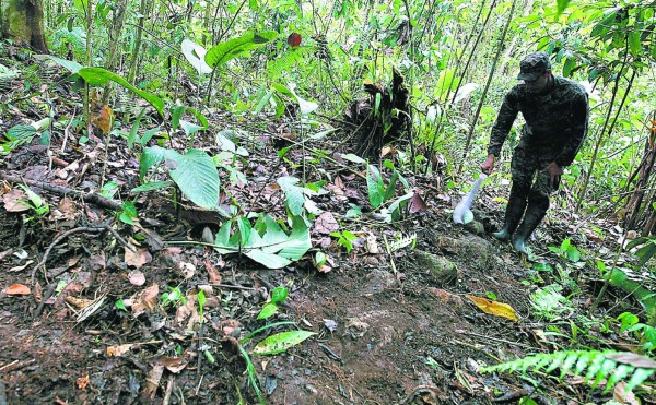 Fuerte contingente resguarda Ciudad Blanca