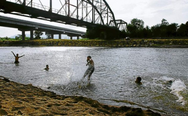 Cocodrilo habría atacado en el Ulúa
