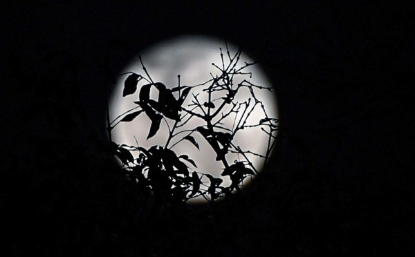 Una superluna 'azul de sangre' da un espectáculo celestial &nbsp;&nbsp;