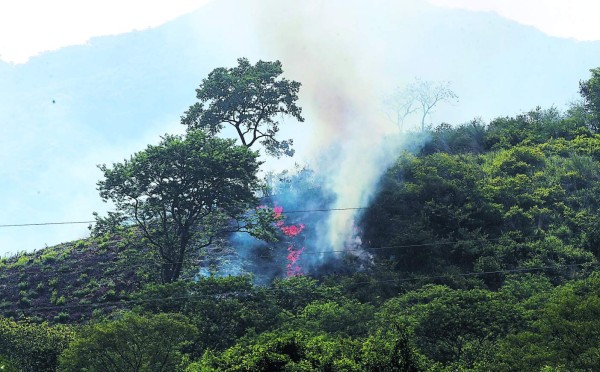 Semillas para postrera piden los campesinos