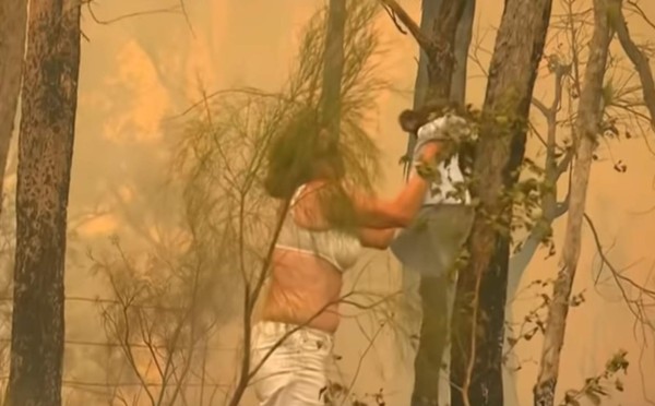 Las fotos del dramático rescate de un koala en un incendio en Australia