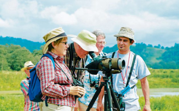 Honduras: El exótico mundo de las aves