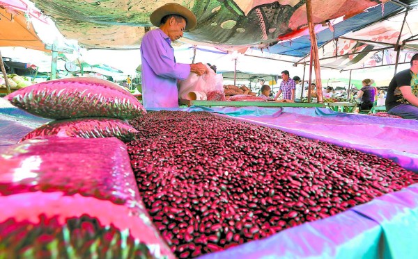 Proyecciones de cosecha sin respaldo de estadísticas reales
