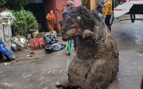 La polémica detrás del disfraz de rata gigante que tapó drenaje