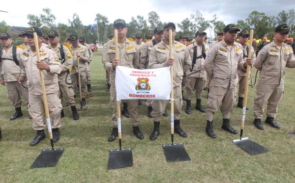 Por cielo y tierra protegerán los bosques de los incendios