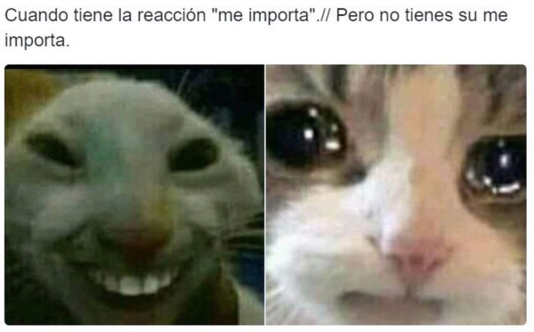 'Me importa', la nueva reacción de Facebook que deja graciosos memes